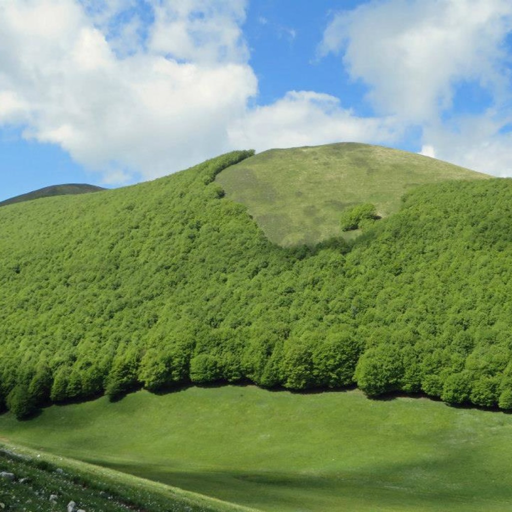 in marcia verso forca dei copelli