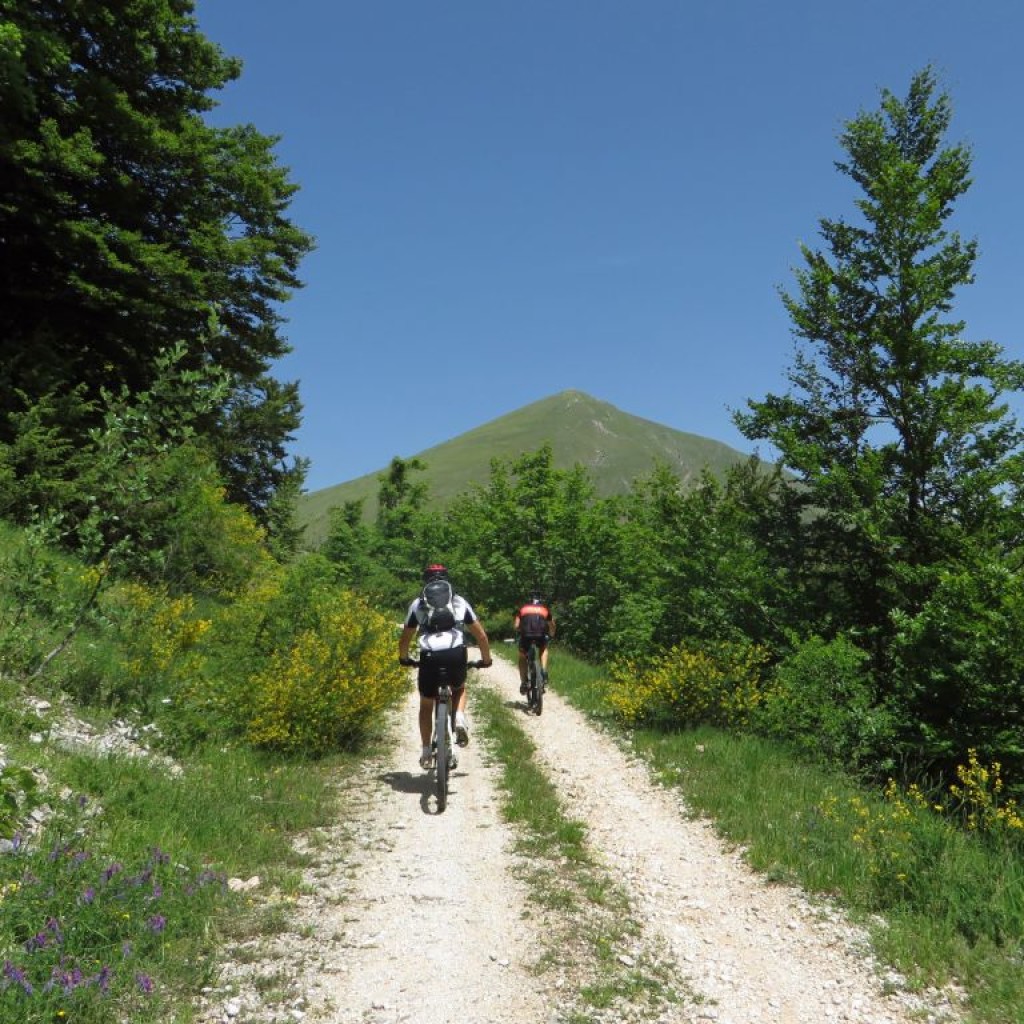 valle di rapegna