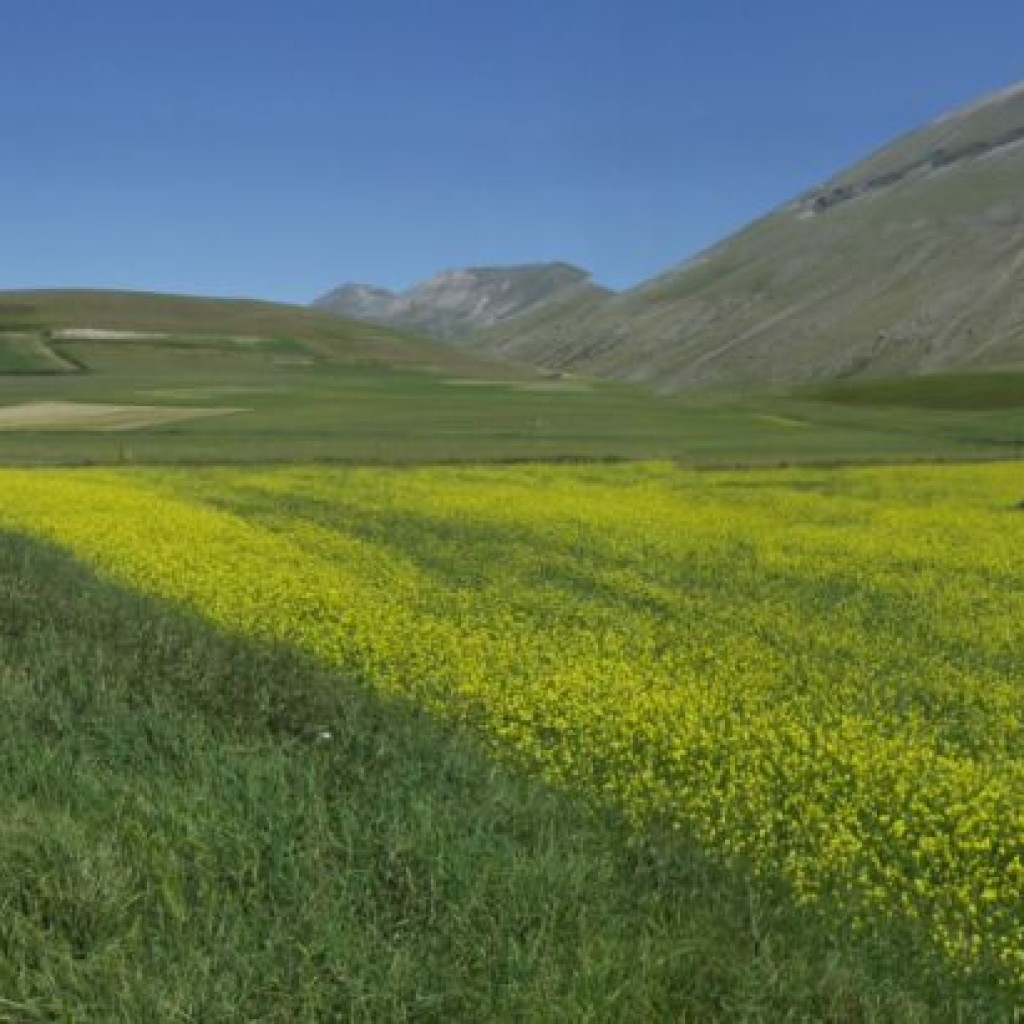 CASTELLUCCIO 23 06 2012 067