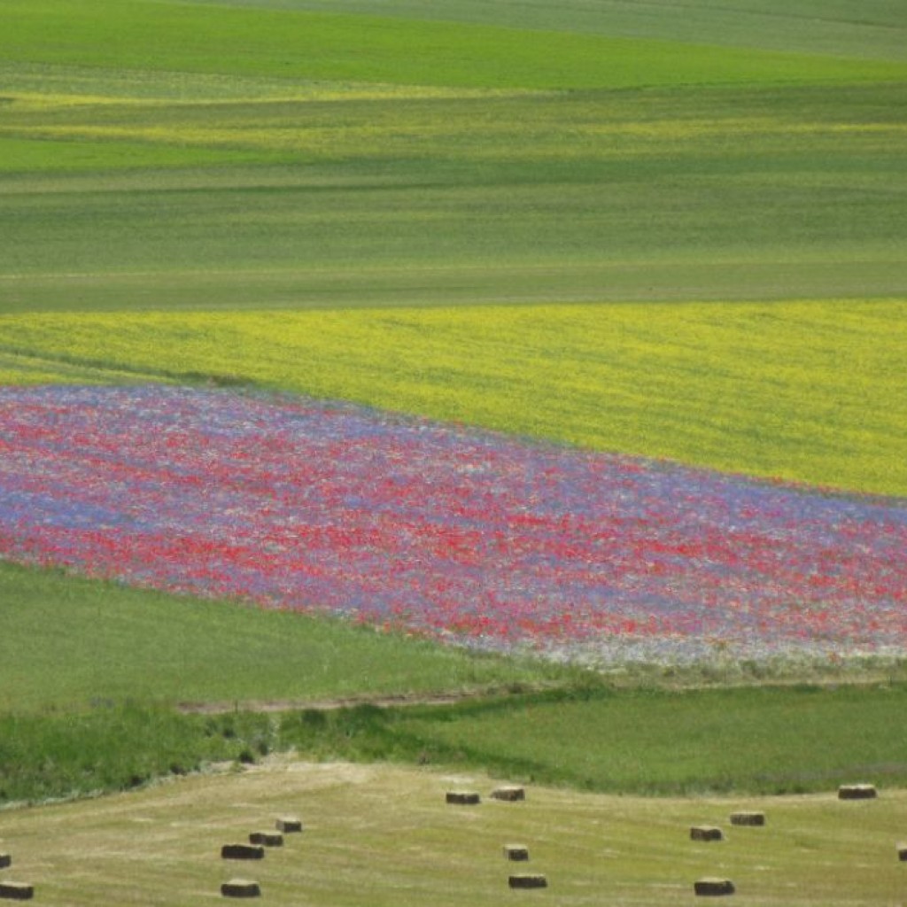 CASTELLUCCIO 23 06 2012 091