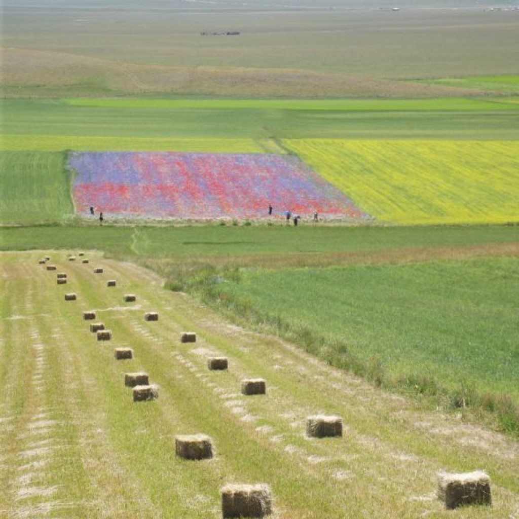 CASTELLUCCIO 23 06 2012 092