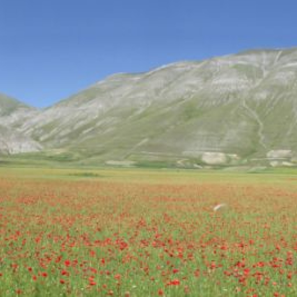 CASTELLUCCIO 23 06 2012 100