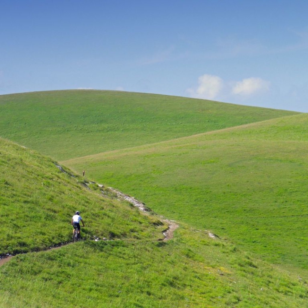 FIORITURA CASTELLUCCIO  06 07 2013 061