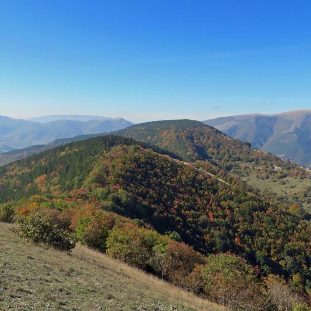 panorama dalla vetta del monte cafaggio