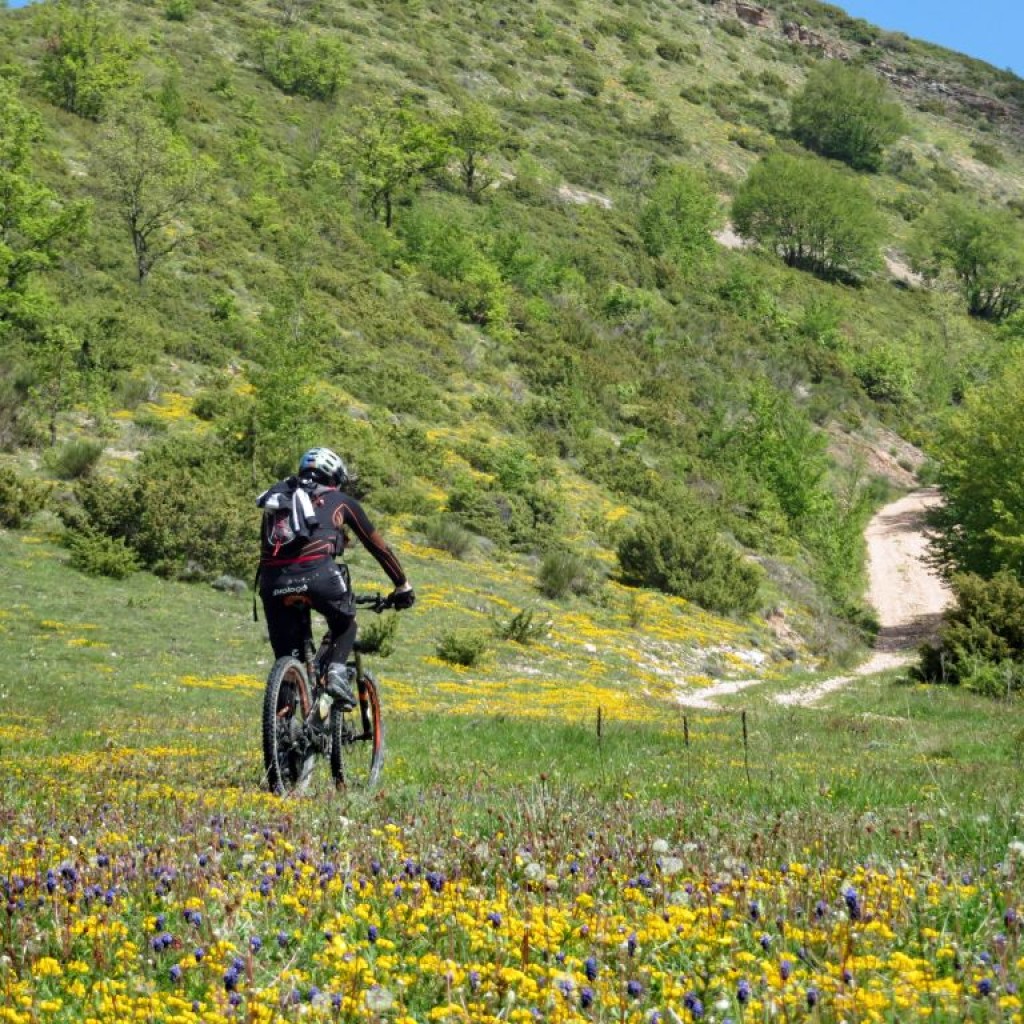 salta a colle delle saliere