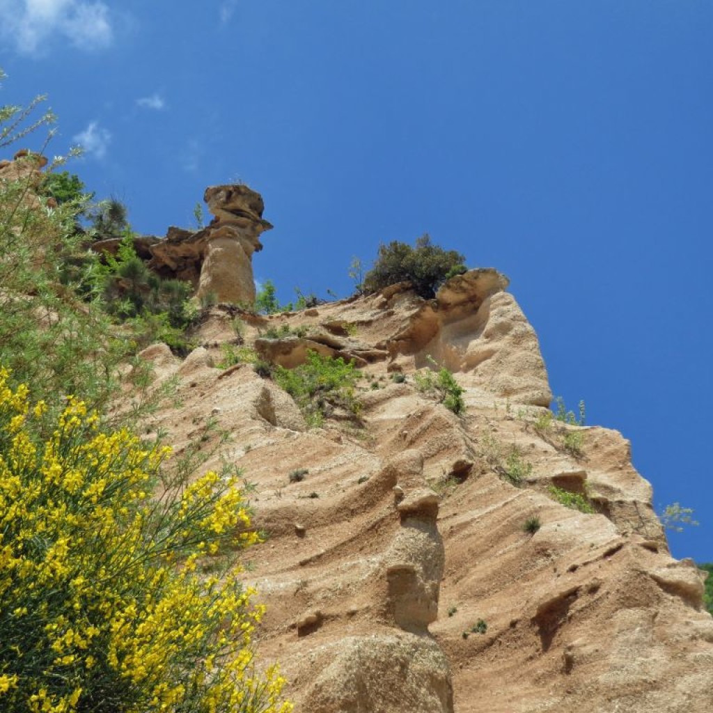 LAME ROSSE 21 05 2016 438