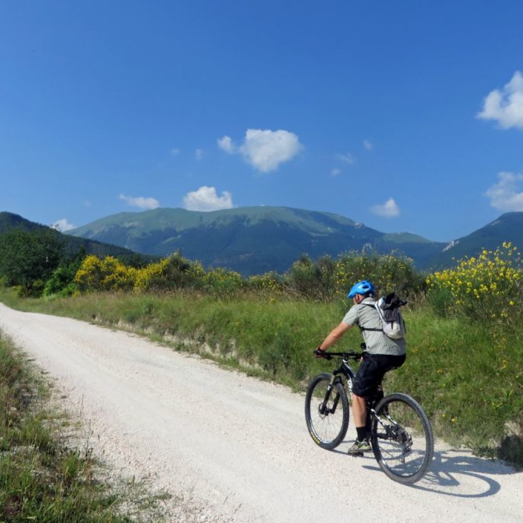 PIZZO DI MONTE BERRO  25 06 2016 026