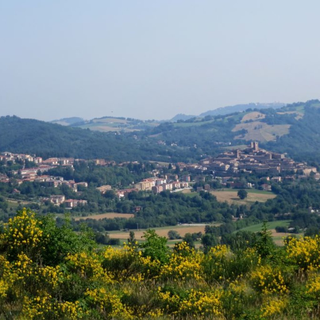 PIZZO DI MONTE BERRO  25 06 2016 044