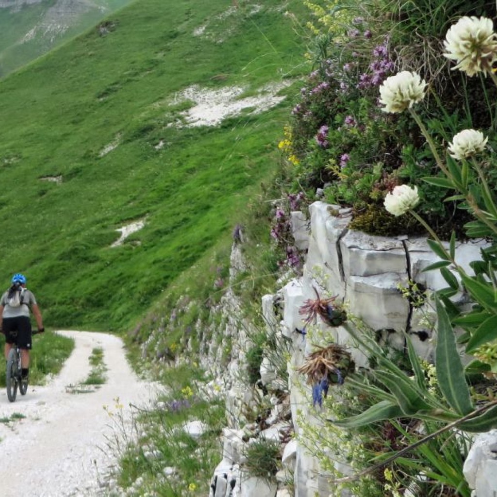 PIZZO DI MONTE BERRO  25 06 2016 277