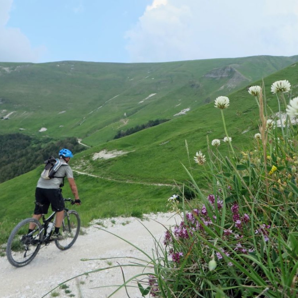 PIZZO DI MONTE BERRO  25 06 2016 285