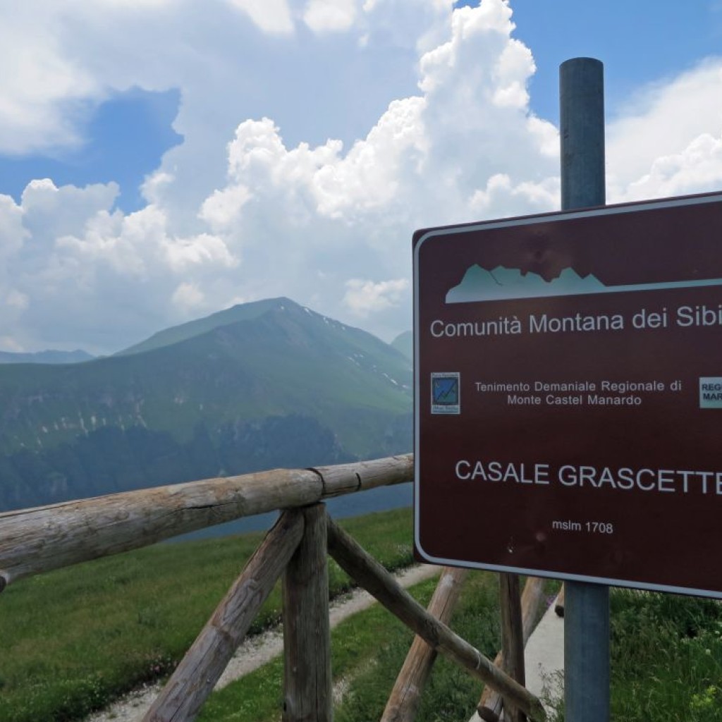 PIZZO DI MONTE BERRO  25 06 2016 384