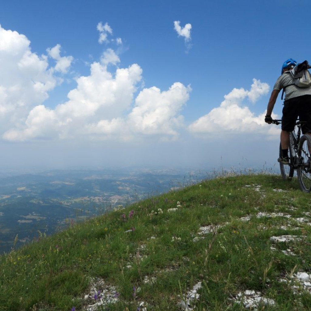 PIZZO DI MONTE BERRO  25 06 2016 396