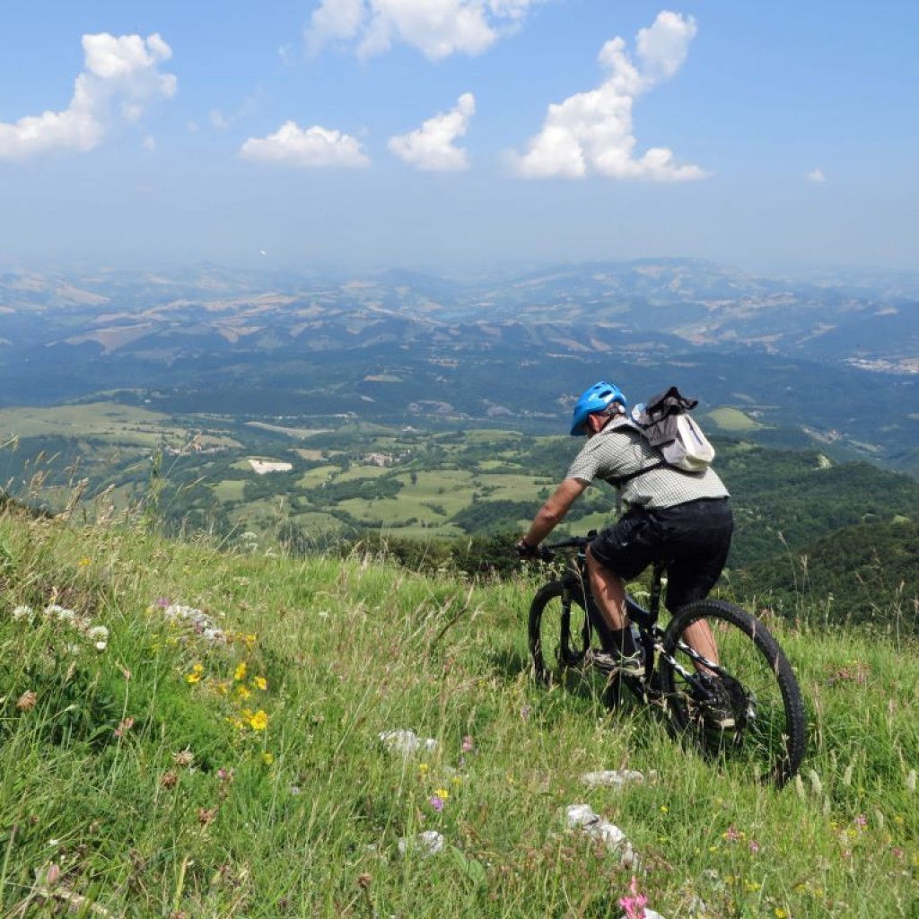 PIZZO DI MONTE BERRO  25 06 2016 494