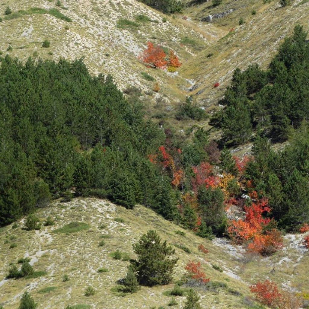 VAL DI PANICO