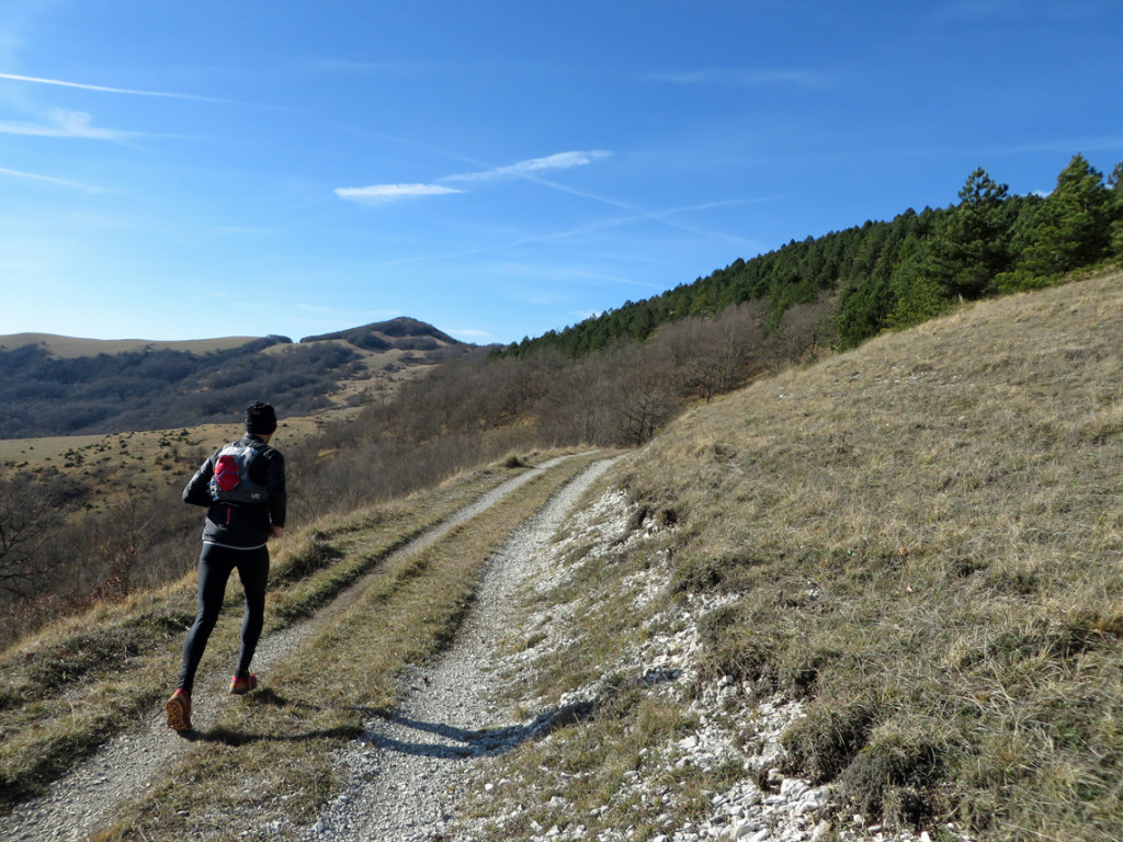 camorlo-24-12-2016-400