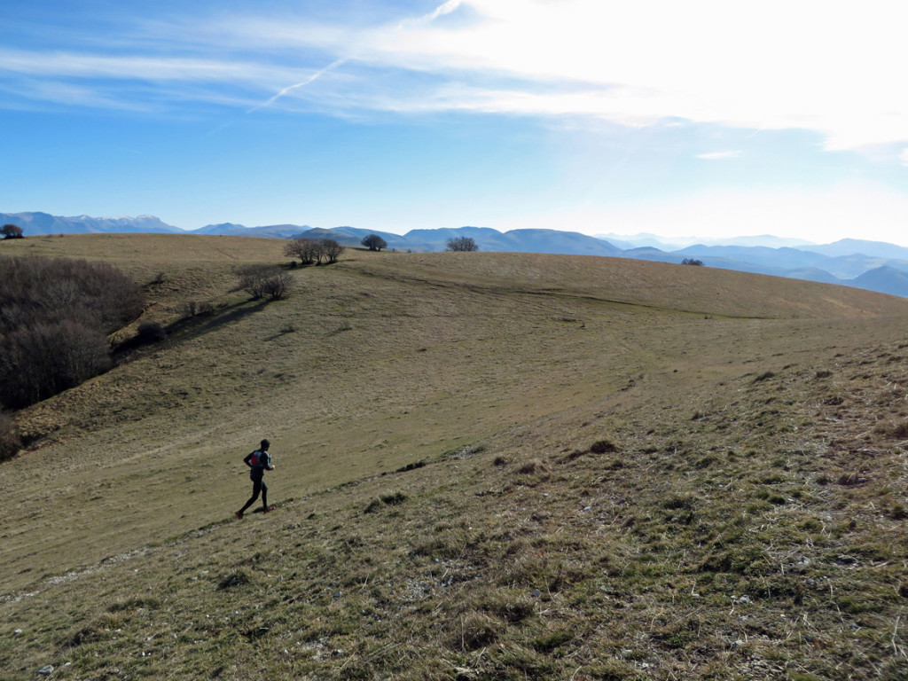 camorlo-24-12-2016-469