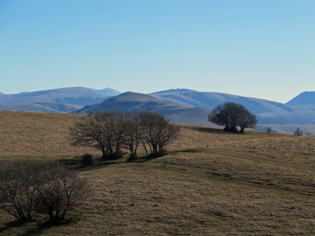 camorlo-24-12-2016-493