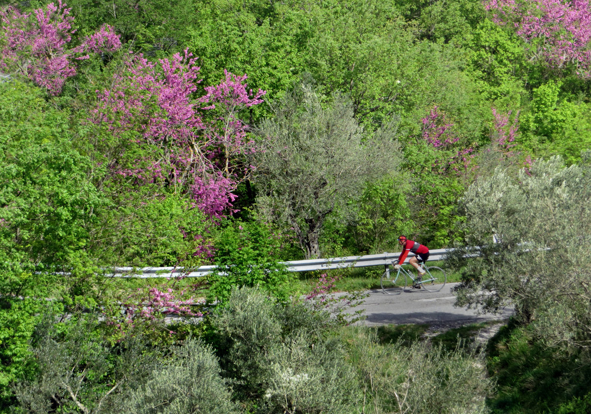 ciclocolli-15-04-2017-052