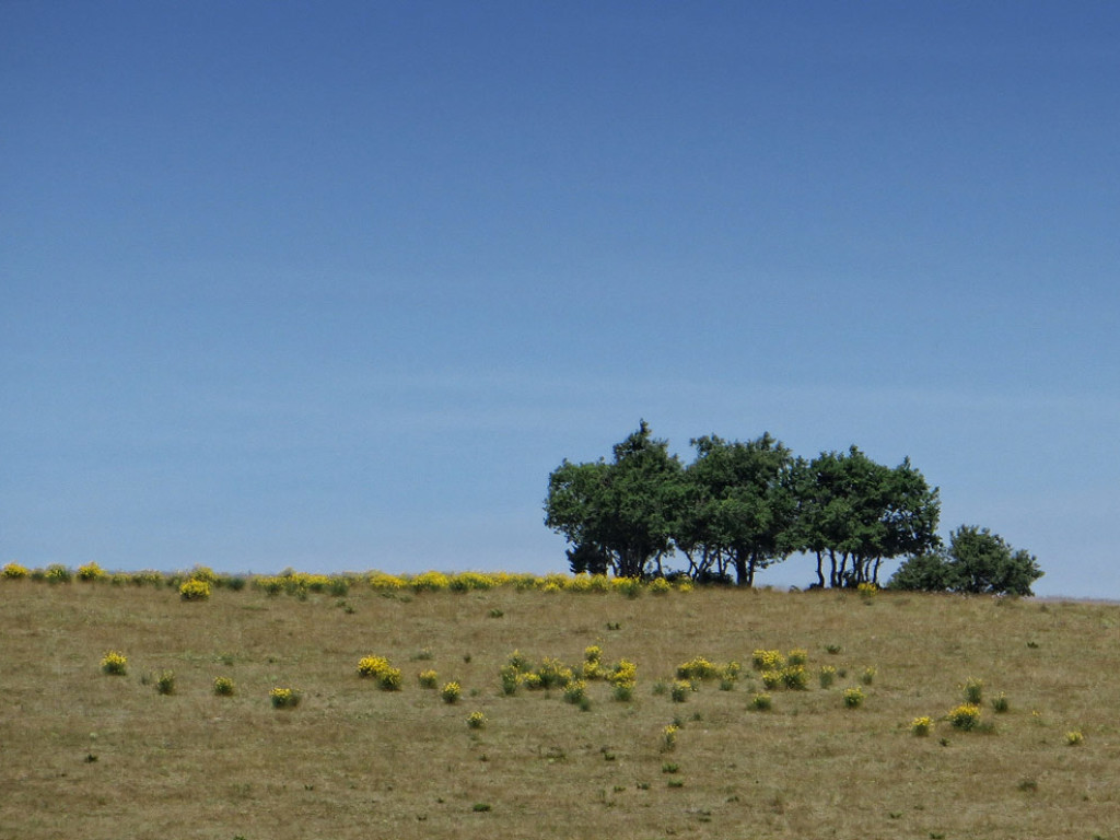 VALLE-ELCE-25-06-17-19