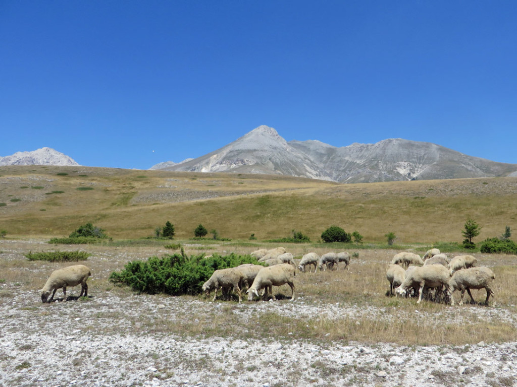 GRAN-SASSO-22-07-2017-1480