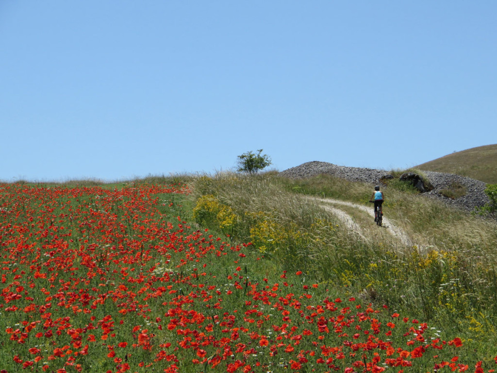 rocca-calascio-319