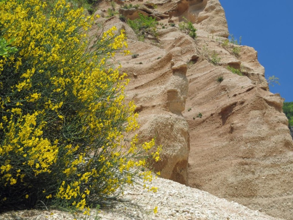 LAME ROSSE 21 05 2016 444