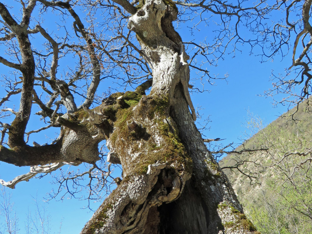 lame-rosse--21-04-2018-159