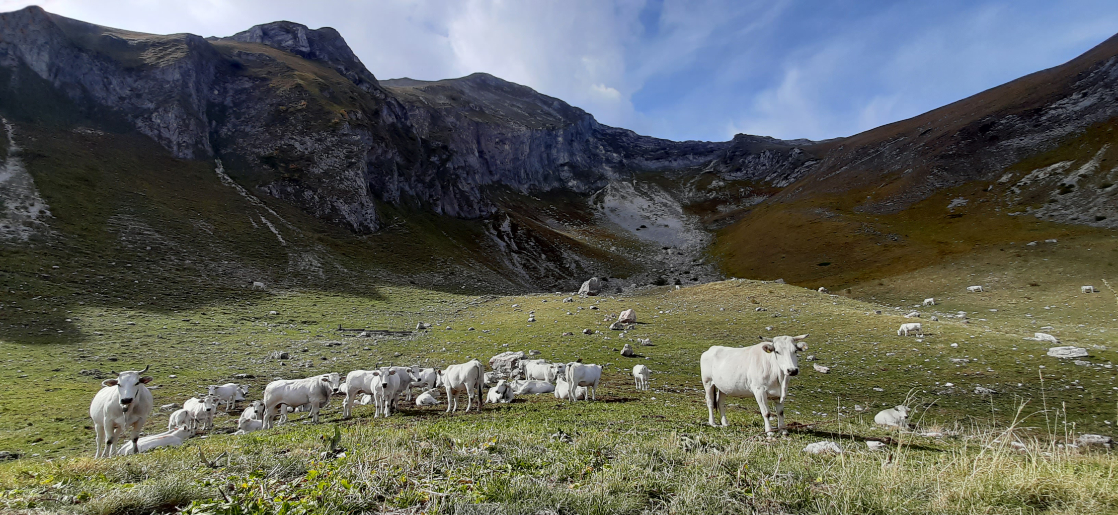 VALLE DELL'AMBRO 02 10 2021 (13)