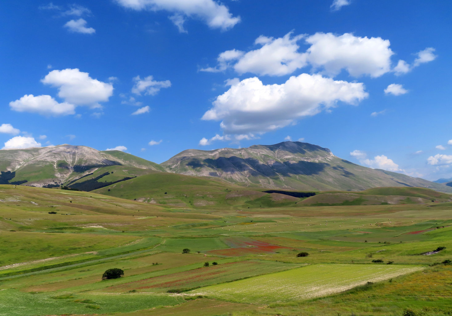 CASTELLUCCIO-11-07-2020-701