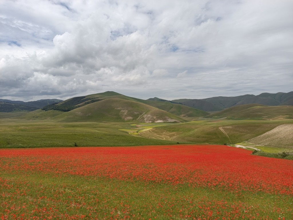 GRANDE ANELLO SIBILLINI 2024 (96)