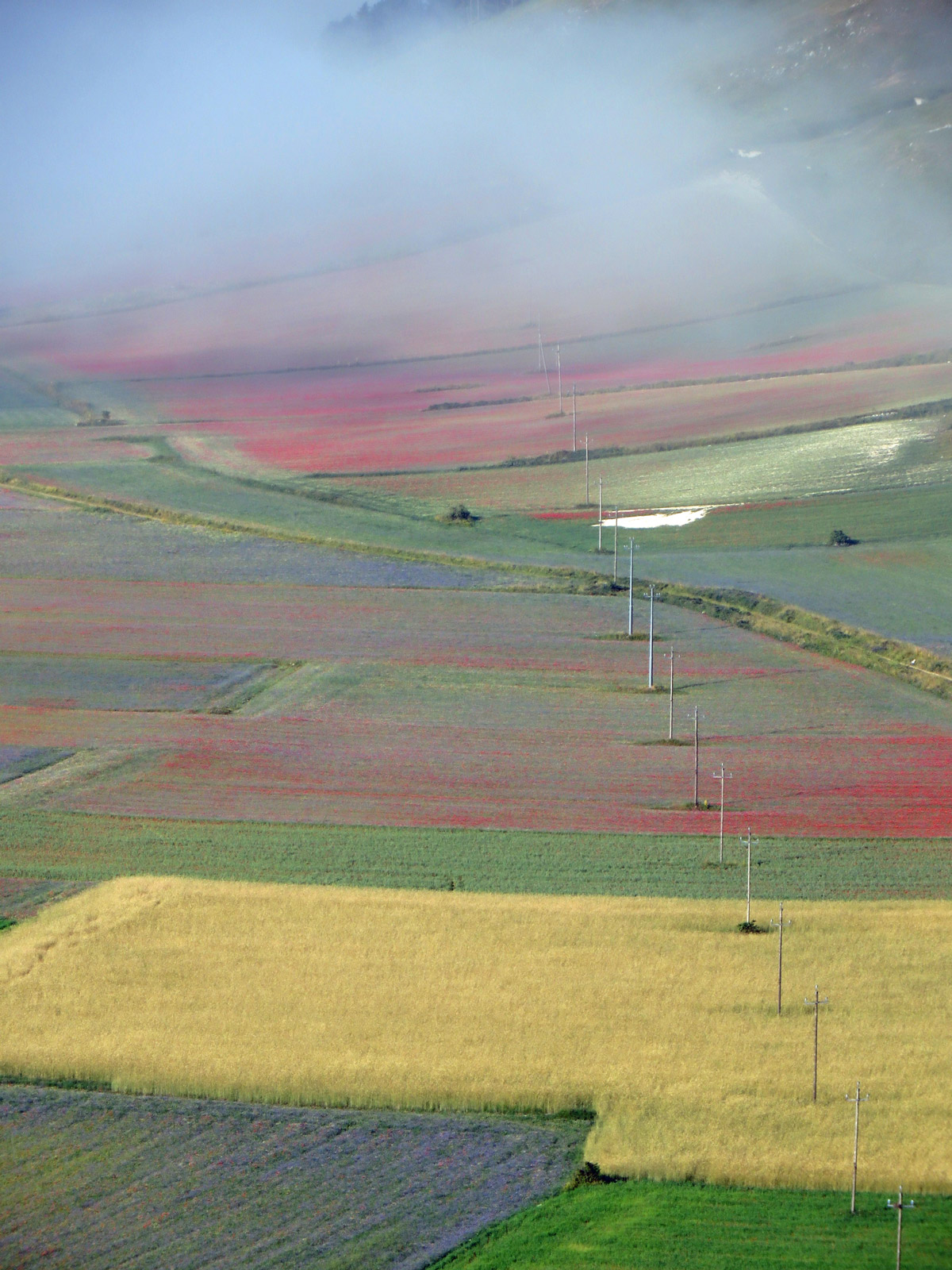 castelluccio-14-07-2018-007